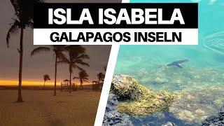 ISLA ISABELA - Die schönste der GALAPAGOS-INSELN!? | Ecuador Vlog 