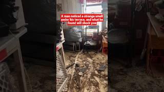 man notice strange smell under his terrace and what he found will shock you #shorts #shortsfeed #yt