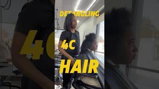 Detangling 4C Hair #dallastxhairstylist