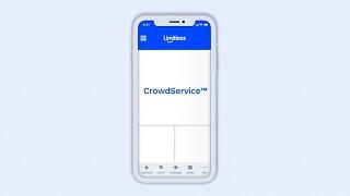 Limitless CrowdService