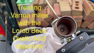 Treating my honeybees with the Lorob bees Oxalic Acid Vaporizer