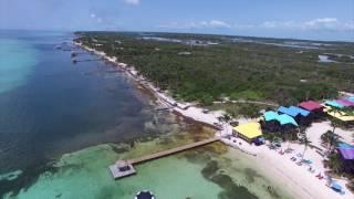 RE/MAX Island Real Estate: Best Beachfront Property