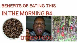 BENEFITS OF EATING (GRAINS OF PARADISE)ALLIGATORS PEPPER. AS BREAK FAST. @ekeneekenkwo .