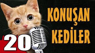 Konuşan Kediler 20 - En Komik Kedi Videoları