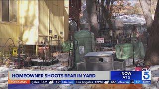 Homeowner in San Bernardino Mountains shoots, kills bear