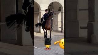 THE GUARD READY TO SOUND THE TRUMPET! #shorts #foryou #history #horse #horseguard #tourist #india