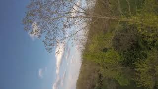 FPV Freestyle - Dano vs The Trees