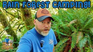 River Front Camping in Hoh National Rain Forest NP! & Forks, Washington