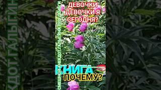 Муж 5 000 р? #смех #юмор #анекдоты #здоровье #честь #удачи #галыгин #мир #деньги #мудрость