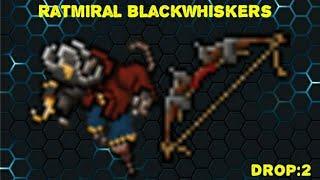 TIBIA Jungle bow drop ! Ratmiral blackwhiskers