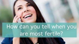 How can you tell when you are most fertile?