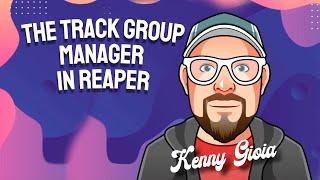 The Track Group Manager in REAPER