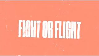 VISLA  - Fight Or Flight