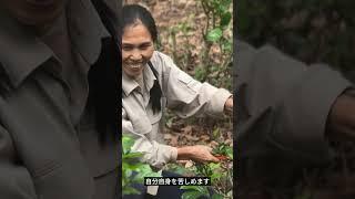 平和は遠くにあるのではなく、あなた自身の心の中にあります。#仏教の教え #心の平和 #手放すこと #気づきの時間 #マインドフルネス #スピリチュアル #癒しの言葉 #自分軸 #幸せになる方法