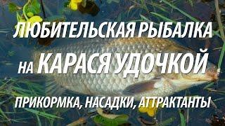 РЫБАЛКА НА КАРАСЯ ПОПЛАВОЧНОЙ УДОЧКОЙ. ПРИКОРМКА, ПРИМАНКИ, АТТРАКТАНТЫ НА РЫБУ КАРАСЬ