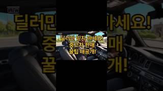 내차팔기 꿀팁 #automobile #헤이딜러#엔카#오토벨 #중고차#내차팔기