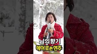 님의향기 -에어로폰연주 #김미자뮤직TV