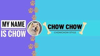 My name is Chow#chowchow #dog #comedy #how #tiktok #pets #puppy #how #funny