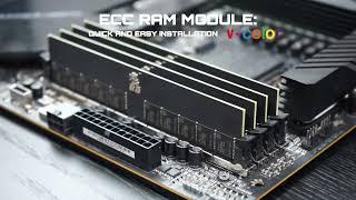 How to Use the v-color DDR5 ECC MODULE