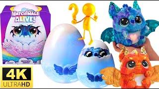 NEW TOY | UNBOXING HATCHIMALS ALIVE | SPIN MASTER | ASMR
