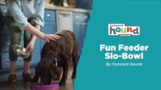 Fun Feeder Slo-Bowl by Outward Hound