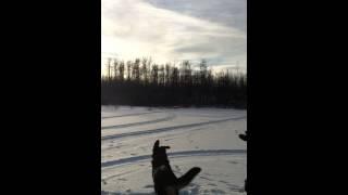Decathlon on ski's 2