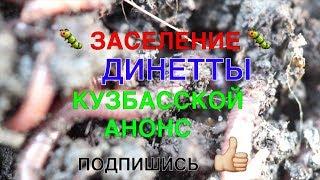 077ААНОНС  ЗАСЕЛЕНИЕ ДИНЕТТЫ КУЗБАССКОЙ 