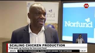 Norwegian fund invests Ksh.23 Billion in chicken breeding