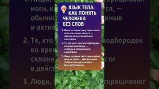  ЯЗЫК ТЕЛА: КАК ПОНЯТЬ ЧЕЛОВЕКА БЕЗ СЛОВ