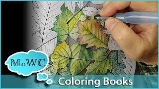 Coloring with Watercolor in Adult Coloring Books