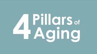 The 4 Pillars of Aging