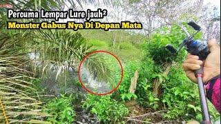 GILA !! JEKPOT MONSTER GABUS DI DEPAN MATA || Van Borneo Fishing