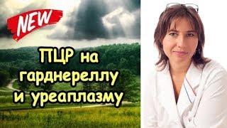 ПЦР на гарднереллу и уреаплазму положительная