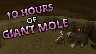 Loot From 10 Hours Of Giant Mole