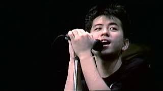 チェッカーズ「WANDERER」MV