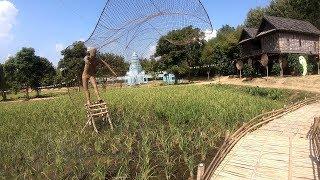 agriculture farming - thailand travel