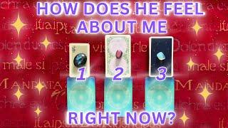 Pick a Card  HOW DOES HE FEEL ABOUT ME.. RIGHT NOW?  Love tarot reading