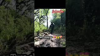 Only 2 Choices motivational quotes /motivational status video#shorts#shortvideo  #viral#motivational