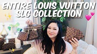 LOUIS VUITTON SLG COLLECTION | SMALL LEATHER GOODS | JESS_LUVS_LV