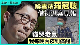 陰毒精羅冠聰借初選案見報，貓哭老鼠「我每晚內疚到痛醒」