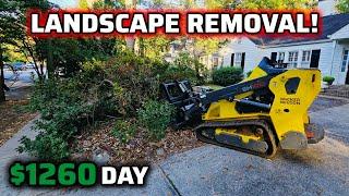 Complete Front Yard Shrub Removal With A Mini Skid Steer! - This Job Was Dangerous Due To A Gas Line