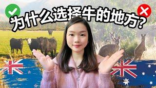 Why I Moved to New Zealand | Is Australia Better?