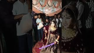 shivam Kushwaha studio todi
