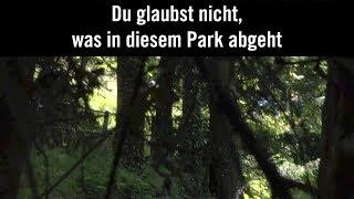 Ihr könnt euch nicht vorstellen, was in diesem Park abgeht! | Amnesty Schweiz