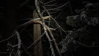 SUCCESS IS NOT ALWAYS SASQUATCH ! RSA-2 Sasquatch Wizard Adirondacks