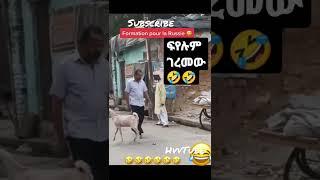 #shorts #ethiopia #eritrea #habesha #viral #trending  #subscribe