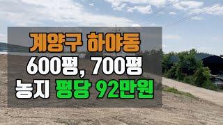 계양구 하야동 농지매매 600평 / 평당92만원