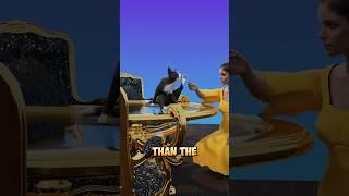  When Cats Were Executed  ️