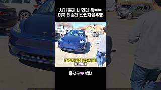 차가 혼자 나한테 옴 ㅋㅋ 미국 테슬라 완전자율주행 실화냐 ㄷㄷ
