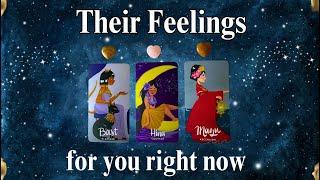 THEIR FEELINGS FOR YOU (right-now)  #timeless Tarot Psychic Reading! *Pick A Card*